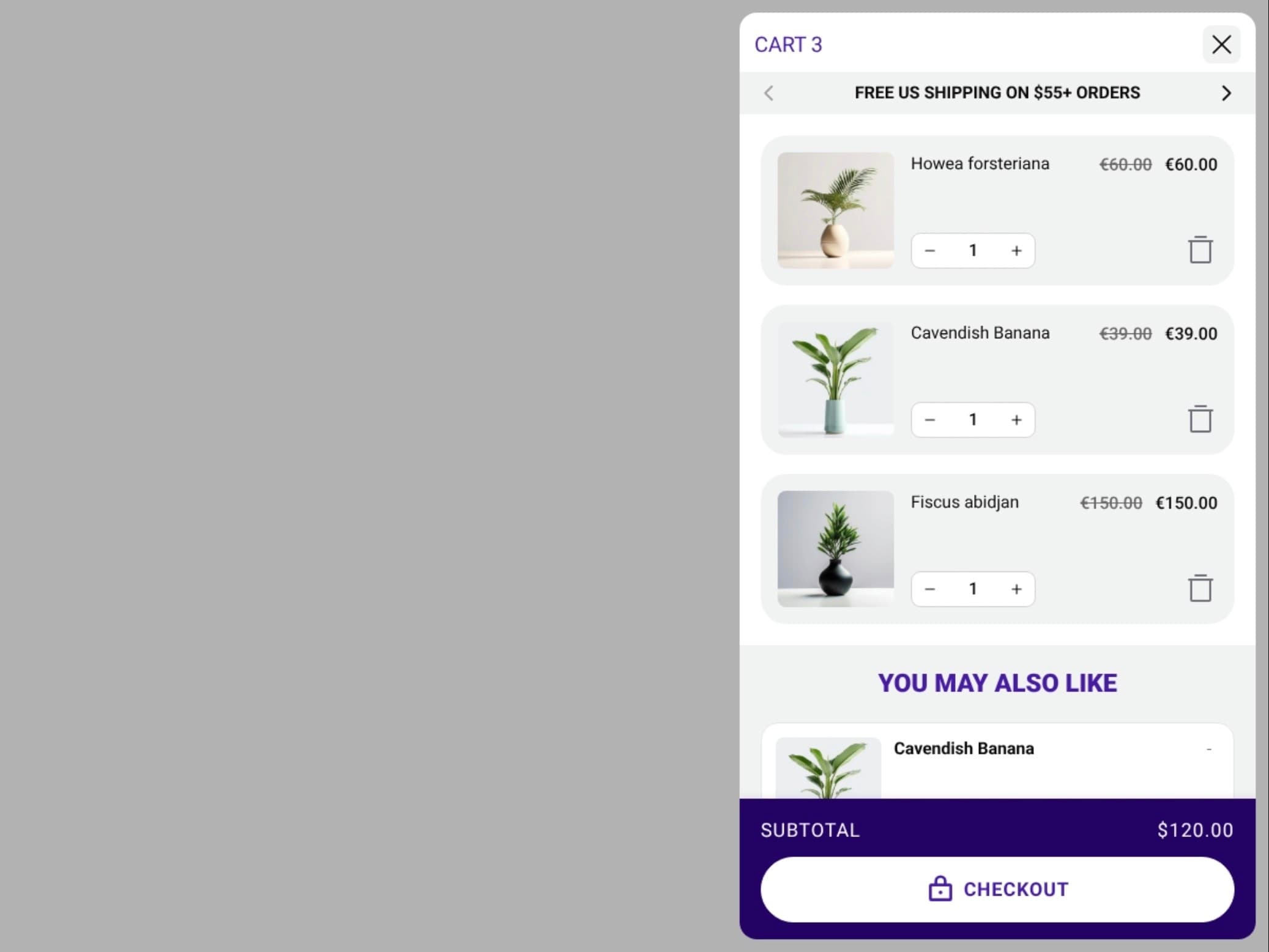 free shipping banner example
