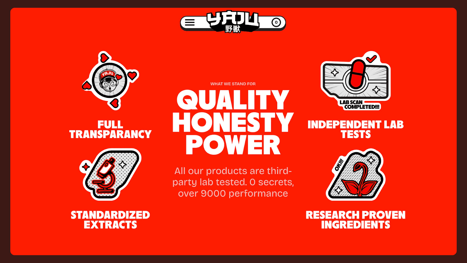 USP section screenshot from YAJU homepage